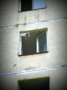 P1020310