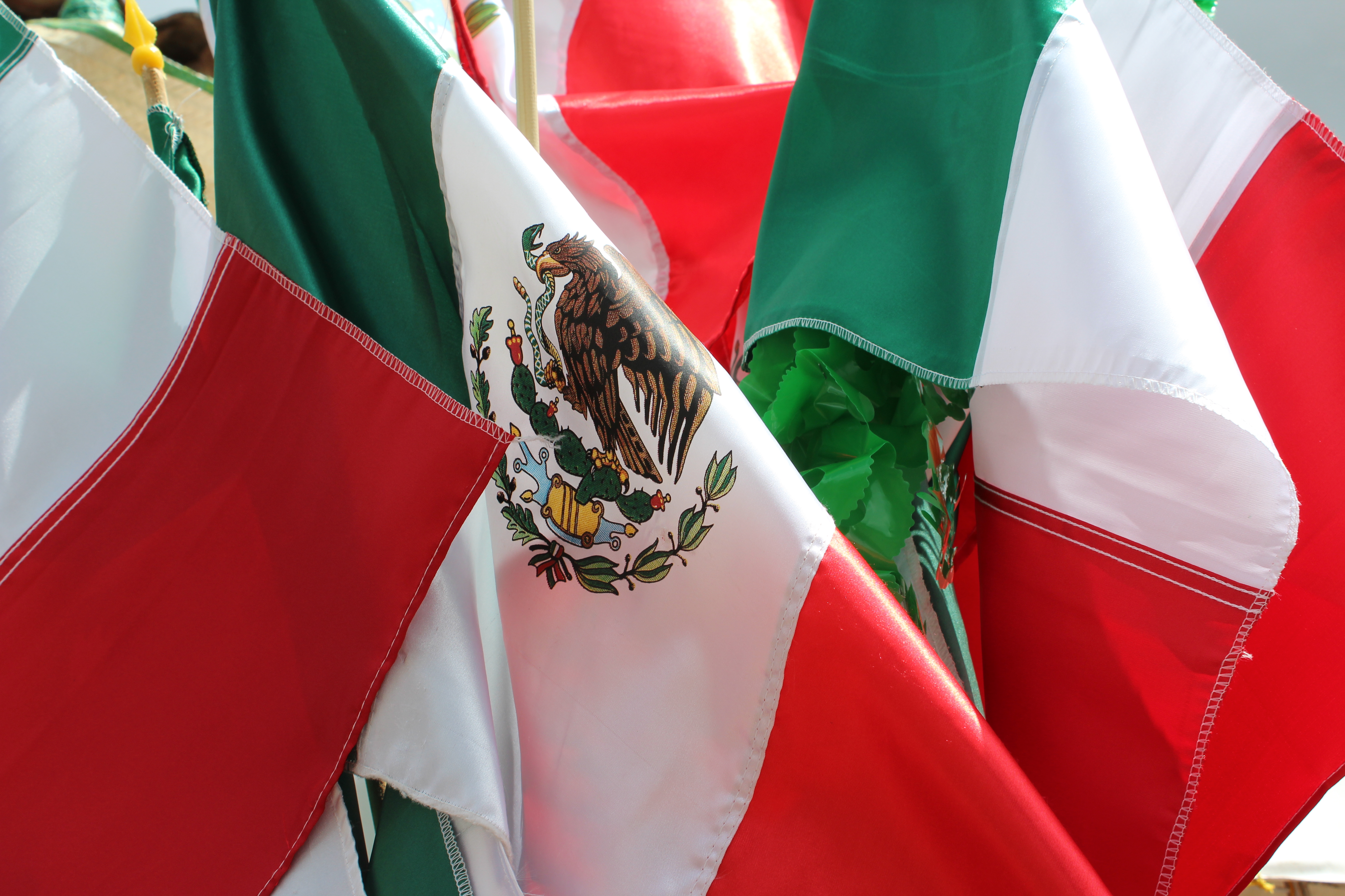 ¡Viva Mexico!