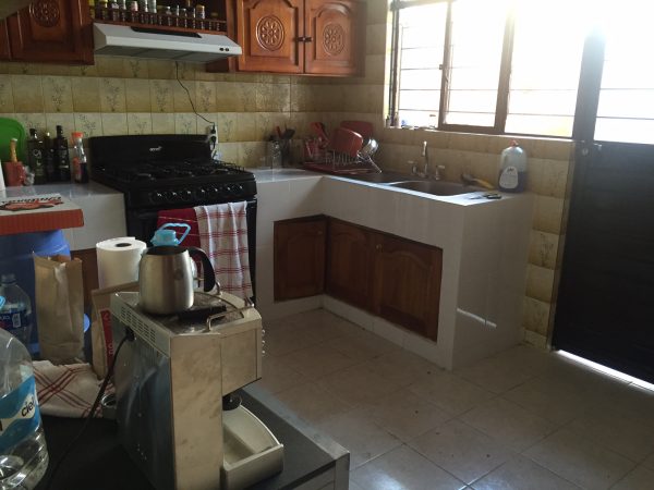 The kitchen