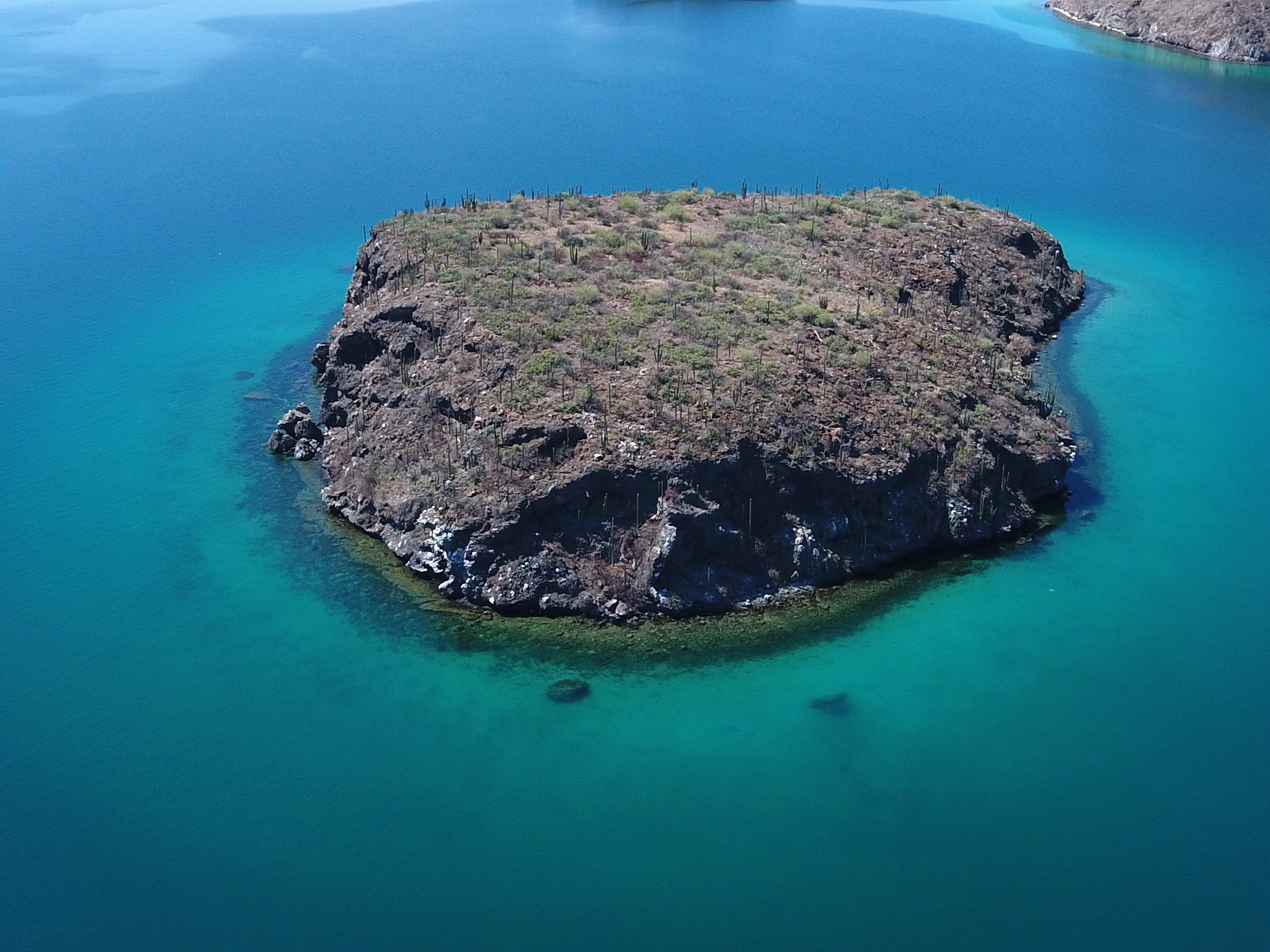 Drone shot from the Bay of Conception.