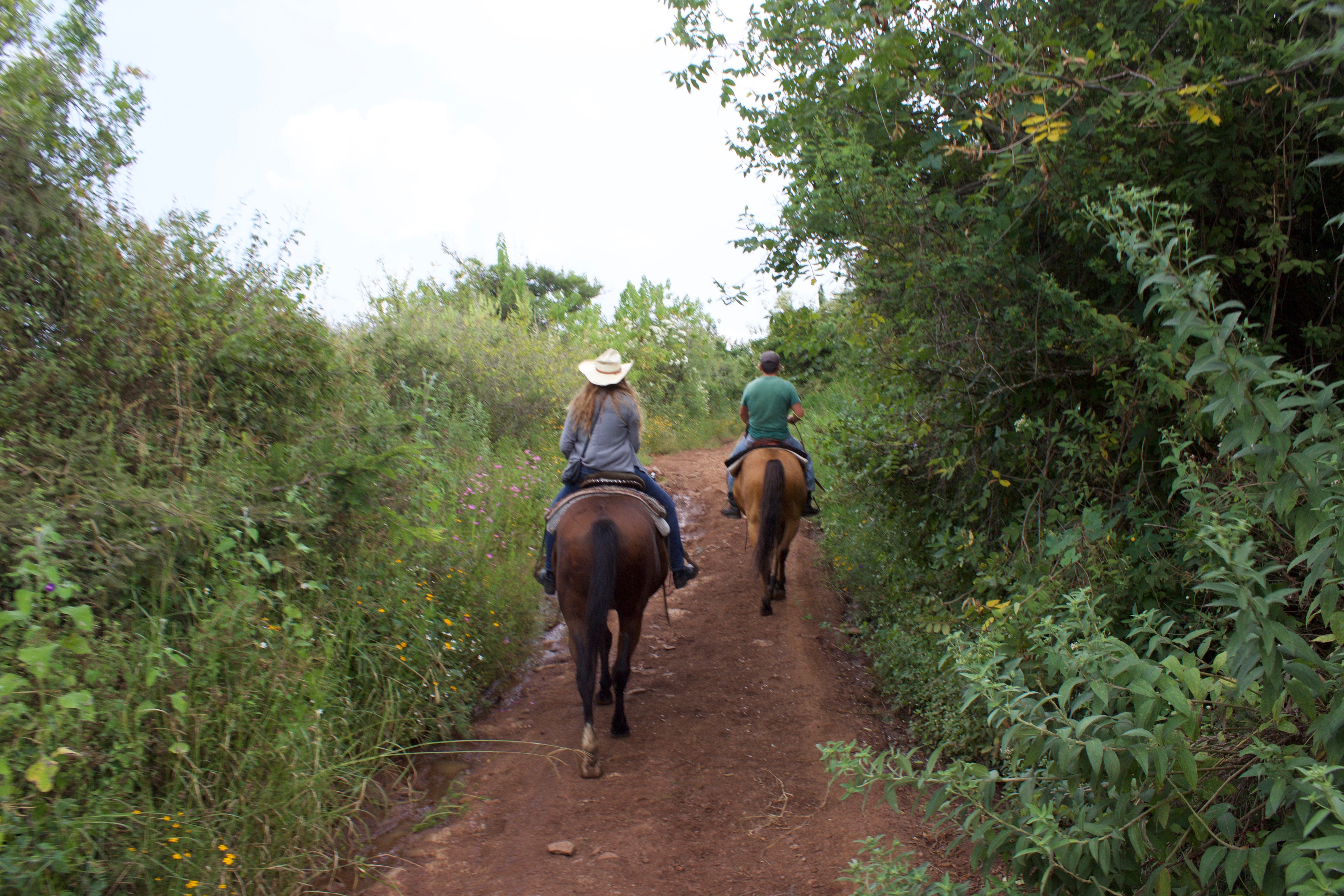 Horseback riding in Jalisco.