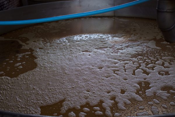 Fermenting tequila